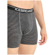 Muške bokserice Icebreaker Mens Anatomica Boxers