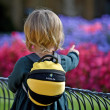 Dječji ruksak  LittleLife Toddler Bee