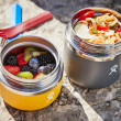 Termos zdjela za hranu Hydro Flask 20 oz Insulated Food Jar