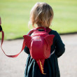Dječji ruksak  LittleLife Animal Toddler Backpack Dragon