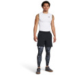 Muške tajice Under Armour HG Armour Prtd Lgs