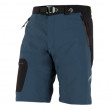Muške kratke hlače Direct Alpine Cruise Short siva/plava Greyblue/Black