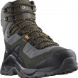 Muške cipele za planinarenje Salomon Quest Element Gore-Tex siva/zelena