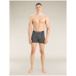 Muške bokserice Icebreaker Mens Anatomica Boxers