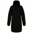 Ženska zimska jakna Dare 2b Wander Jacket crna