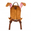 Dječji ruksak  LittleLife Animal Toddler Backpack Rabbit