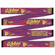 Slackline Gibbon Surferline Treewear Set