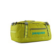 Putna torba Patagonia Black Hole Duffel 40L