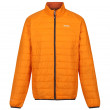 Muška jakna Regatta Hillpack narančasta
