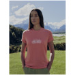 Ženska funkcionalna majica Icebreaker Women Merino 150 Tech Lite III SS Tee IB Grown Naturally