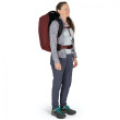 Putna torba Osprey Fairview 40