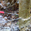 Džepna motorna pila za kampiranje Nordic Pocket Saw pila