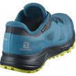 Muške cipele Salomon Trailster 2 GTX