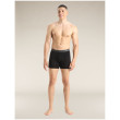 Muške bokserice Icebreaker Mens Anatomica Boxers