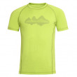 Muška majica Alpine Pro Revin zelena