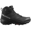 Muška obuća Salomon Crosstrak Waterproof