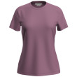 Ženska funkcionalna majica Icebreaker Women Merino 150 Tech Lite III SS Tee