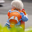 Dječji ruksak  LittleLife Animal Toddler ClownFish