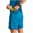 Muške kratke hlače Dynafit Alpine Pro M 2/1 Shorts