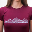 Ženska funkcionalna majica Sensor Coolmax Fresh PT Mountains