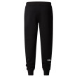 Muške trenerke The North Face M Drew Peak Pant