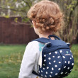 Dječji ruksak  LittleLife Toddler Backpack Riba