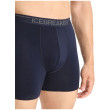 Muške bokserice Icebreaker Mens Anatomica Boxers