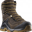Muške cipele za planinarenje Salomon Quest Element Gore-Tex crna /smeđa