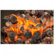 Briketi za roštilj CasusGrill Bamboo Charcoal Briquettes