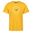 Muška majica Regatta Cline VI žuta