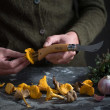 Nož Opinel VRI N°08 Inox nož za gljive, ručka od bukve