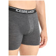 Muške bokserice Icebreaker Mens Anatomica Boxers