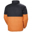 Muška zimska jakna Helly Hansen Active Reversible Jacket