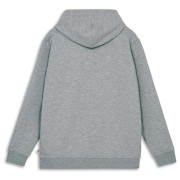 Dječja dukserica Lego Wear Lwsato 202 Grey