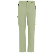 Muške hlače Regatta Anti-Insect Travel Light Z/O Trousers svijetlo zelena Light Sage