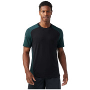 Muška majica Smartwool M Active Mesh Short Sleeve