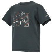 Dječja majica Regatta Alvarado Seal Grey