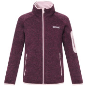 Dječja dukserica Regatta Junior Newhill Fig Powder Lilac crvena FigPowLilac
