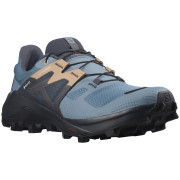 Ženske cipele Salomon Wildcross 2 Gore-Tex plava Bluestone