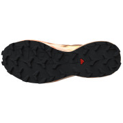 Ženske cipele Salomon Speedcross 6 Gore-Tex