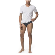 Muško donje rublje Icebreaker Mens Anatomica Briefs