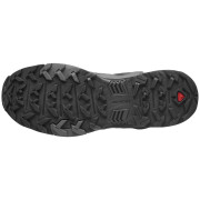 Muške cipele za planinarenje Salomon X Ultra 4 Mid Gtx