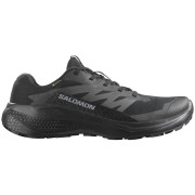 Muška obuća Salomon Alphaglide Gore-Tex