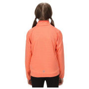 Dječja dukserica Regatta Jnr Highton LteII