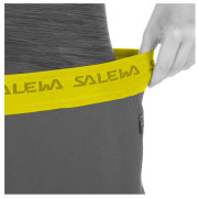 Ženske hlače Salewa Agner Light Dst Engineer W Pnt