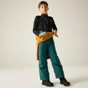 Dječje skijaške hlače Dare 2b Outmove III Insulated Pant Mediterranea
