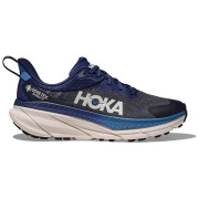 Muške cipele Hoka M Challenger Atr 7 Gtx