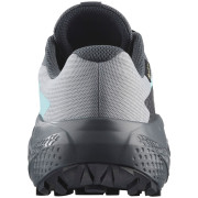 Ženske cipele Salomon Alphaglide Gore-Tex