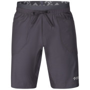 Muške kratke hlače Direct Alpine Solo Shorts 3.0 siva/crna anthracite
