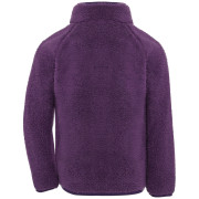 Dječja dukserica Didriksons Gibbs Kids Fullzip 2 Northen Purple